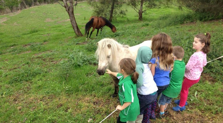 Canoelands Orchards - excursions sydney parramatta